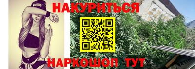 молекула духа Шахты