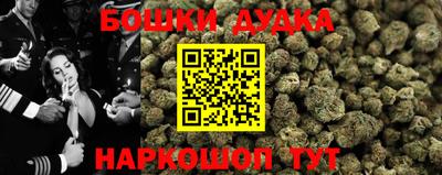 молекула духа Шахты
