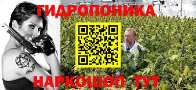 молекула духа Шахты