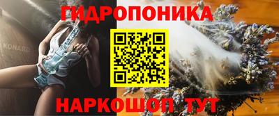 шишки Шелехов