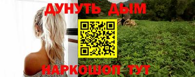 шишки Шелехов